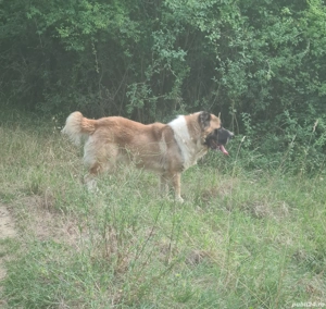 asia centrala    . - imagine 2 asia centrala    . - imagine 2