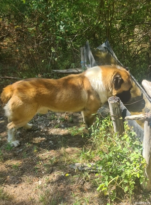 asia centrala    . - imagine 4 asia centrala    . - imagine 4