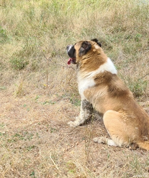 asia centrala    . - imagine 3 asia centrala    . - imagine 3