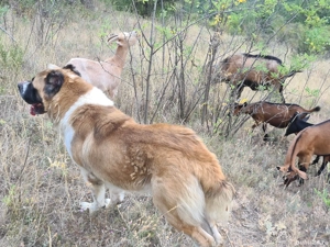 asia centrala    . - imagine 5 asia centrala    . - imagine 5