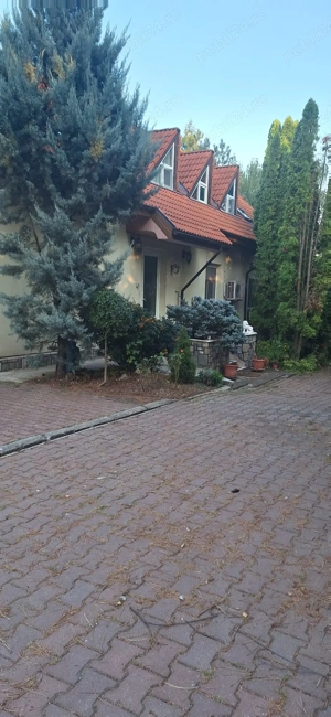 Angajam familie (2 pers) pentru ingrijire casa Corbeanca, gradina, sofer (cazare asigurata) - imagine 2