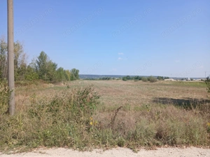 Vand teren in comuna Cateasca, Lunca Argesului (langa balastiera)