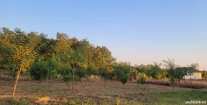 Doua terenuri zona A0, schimb - imagine 2