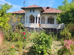 Casa bătrânească cu teren