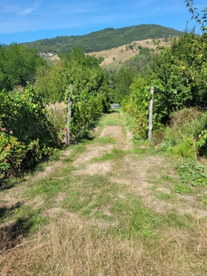 Casa bătrânească cu teren  - imagine 5