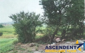 Teren intravilan  pe 1.200 mp, Craiesti, Mures - imagine 6