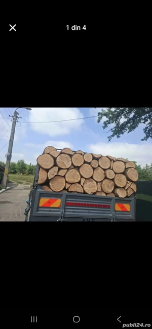 vând lemne de foc esență tare cer,fag,carpen,stejar cantitate garantata  transport gratuit  lemnele 