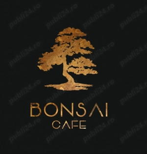 Bonsai Cafe angajează tineri Ospătari
