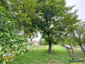 FILM! Domeniu de 1.660mp,cu doua case, atelier si anexe,Lemnia,Covasna - imagine 4