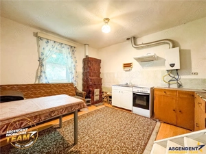 FILM! Domeniu de 1.660mp,cu doua case, atelier si anexe,Lemnia,Covasna - imagine 5