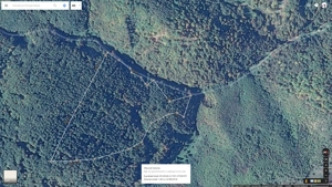 Padure fag 8.5ha comuna Dobra jud. Hunedoara - imagine 3