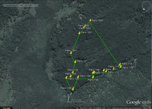 Padure fag 8.5ha comuna Dobra jud. Hunedoara - imagine 2