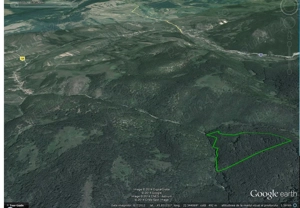 Padure fag 8.5ha comuna Dobra jud. Hunedoara - imagine 4