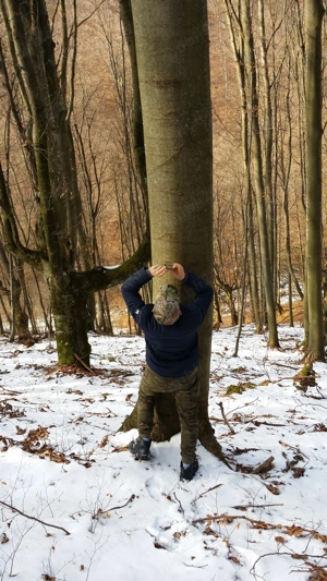 Padure fag 8.5ha comuna Dobra jud. Hunedoara - imagine 6