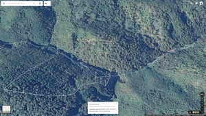 Padure fag 8.5ha comuna Dobra jud. Hunedoara