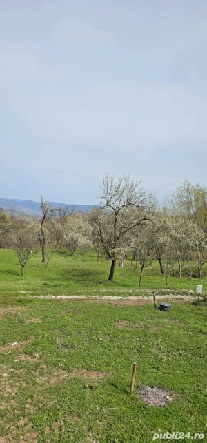 Vând teren intravilan, 600 mp, situat în comuna Talea, județul Prahova. - imagine 2