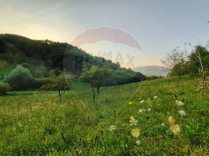 EXCLUSIVITATE! Teren 2339 mp in Barsana - Comision 0%!