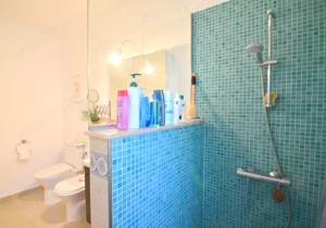 Casa plan parter cu teren generos in Mosnita-Comision 0 - imagine 18