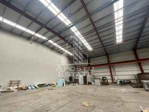 Hala 600 mp constructie noua Sacalaz - imagine 3 Hala 600 mp constructie noua Sacalaz - imagine 3