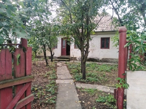 Vând casă compusă din 2 imobile, cu teren la țară în sat Abuș jud. Mureș  - imagine 8 Vând casă compusă din 2 imobile, cu teren la țară în sat Abuș jud. Mureș  - imagine 8