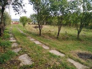 Vând casă compusă din 2 imobile, cu teren la țară în sat Abuș jud. Mureș  - imagine 10 Vând casă compusă din 2 imobile, cu teren la țară în sat Abuș jud. Mureș  - imagine 10