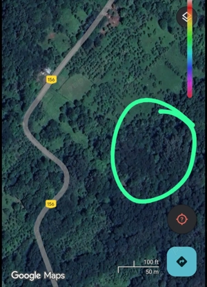 vand teren padure Baile Govora (Bîrlogu)