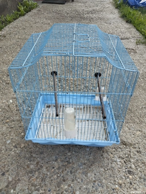 colivie papagali  - imagine 3