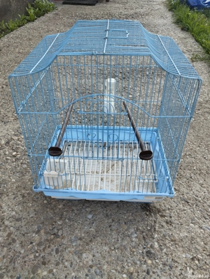 colivie papagali  - imagine 2