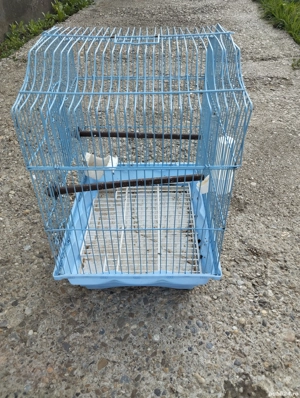 colivie papagali  - imagine 4