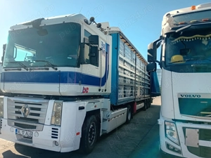 Renault magnum dxi 460