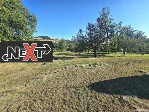 Teren cu livada si casa batraneasca Baltatesti - imagine 7