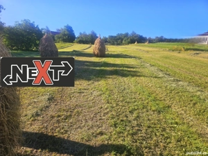 Teren cu livada si casa batraneasca Baltatesti - imagine 4