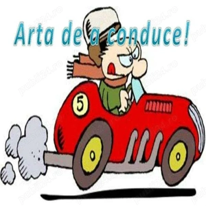 Instructor Auto categ. B - TIMISOARA