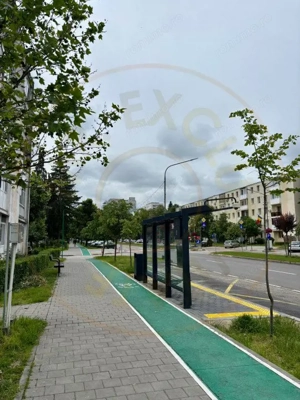 Apartament 2 camere, decomandat, zona centrală, izolat termic, centrală - imagine 8