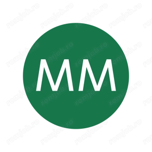 Senior Tax Accountant