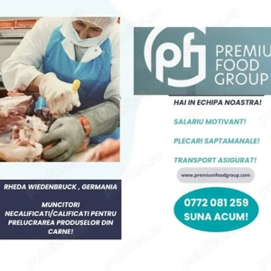 Angajam personal abator Germania