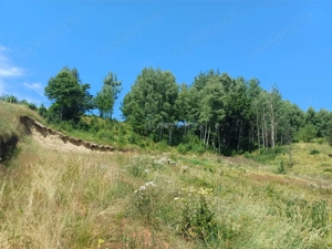 Teren Intravilan in zona Trei Ape, 6889 Mp., 14,5 Euro Mp., Brebu Nou - imagine 14