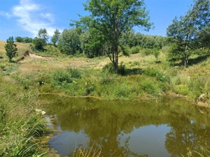 Teren Intravilan in zona Trei Ape, 6889 Mp., 14,5 Euro Mp., Brebu Nou - imagine 12