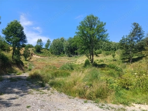 Teren Intravilan in zona Trei Ape, 6889 Mp., 14,5 Euro Mp., Brebu Nou - imagine 4