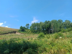 Teren Intravilan in zona Trei Ape, 6889 Mp., 14,5 Euro Mp., Brebu Nou - imagine 11