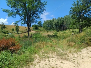 Teren Intravilan in zona Trei Ape, 6889 Mp., 14,5 Euro Mp., Brebu Nou - imagine 13