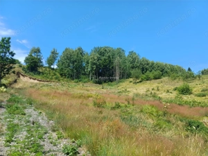 Teren Intravilan in zona Trei Ape, 6889 Mp., 14,5 Euro Mp., Brebu Nou - imagine 5