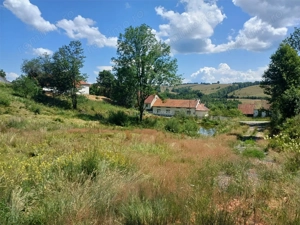 Teren Intravilan in zona Trei Ape, 6889 Mp., 14,5 Euro Mp., Brebu Nou - imagine 7