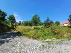 Teren Intravilan in zona Trei Ape, 6889 Mp., 14,5 Euro Mp., Brebu Nou - imagine 3