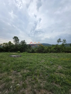 Teren Intravilan, utilitati in zona, 2600 mp, Draganeasa, Prahova