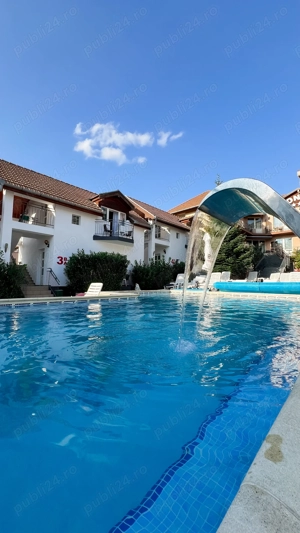 Angajam camerista in Baile Felix