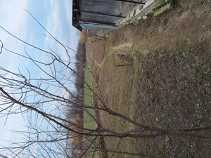 Vand casa in com.Poiana Mare,jud.Dolj - imagine 8