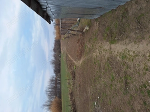 Vand casa in com.Poiana Mare,jud.Dolj - imagine 7