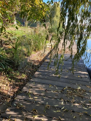 Teren intravilan 2.100 mp cu acces privat la lac și utilități   Siliștea Snagovului - imagine 2