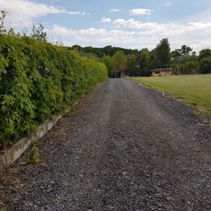 Teren intravilan 2.100 mp cu acces privat la lac și utilități   Siliștea Snagovului - imagine 5